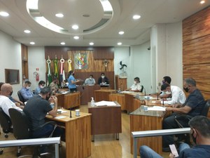 1ª Sessão Ordinária de 2021 1ª Sessão Ordinária de 2021